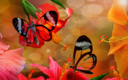 990009 (a): :2880x1800